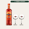 Martini Fiero & 2 Verres Ballon Offerts