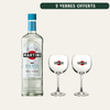 Martini Bianco & 2 Verres Ballon offerts