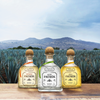 Patron Anejo <br> Tequila artisanale veillie 12 mois en fûts de chêne <br> <I>70cl</I>
